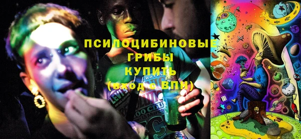 первитин Богородицк