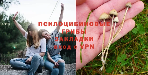 первитин Богородицк