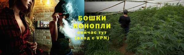 первитин Богородицк