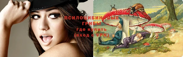хмурый Богданович