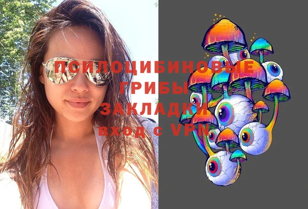 первитин Богородицк